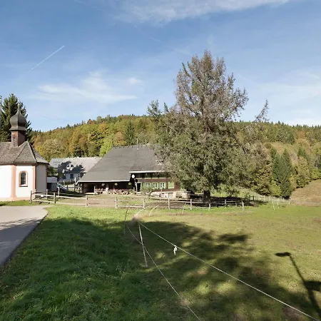 Near The Feldberg Area Apartment Dachsberg im Schwarzwald