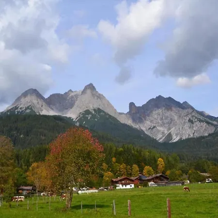 Near The Feldberg Area Apartment *