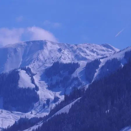 Apartamento In Wittenschwand Dachsberg im Schwarzwald