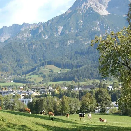 Apartamento In Wittenschwand *