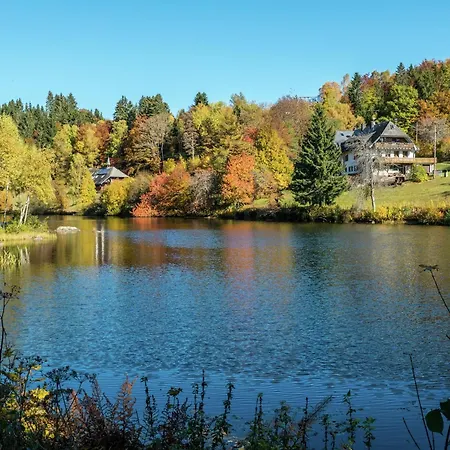 Apartamento In Wittenschwand