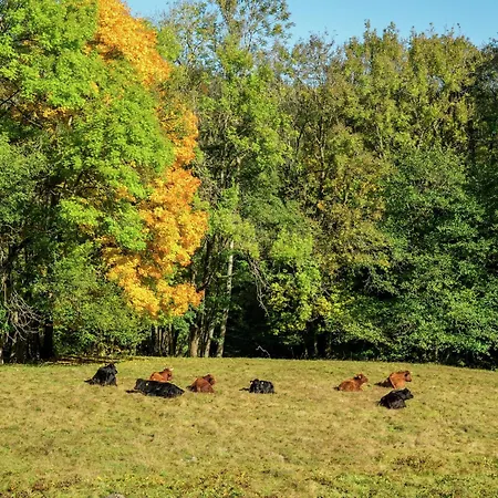 In Wittenschwand Apartamento Dachsberg im Schwarzwald
