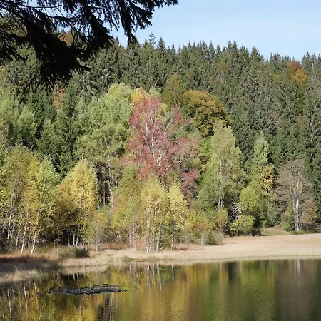 Apartamento In Wittenschwand Dachsberg im Schwarzwald