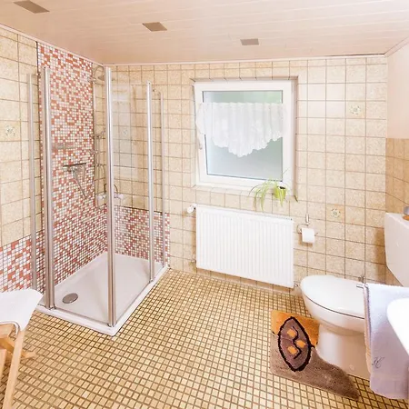 Apartment Near The Feldberg Area Dachsberg im Schwarzwald