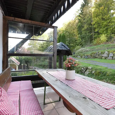 Near The Feldberg Area Apartment *