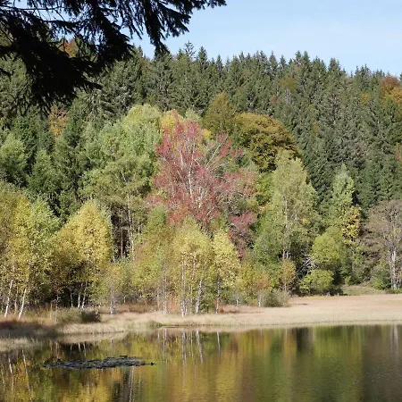 Apartment Near The Feldberg Area