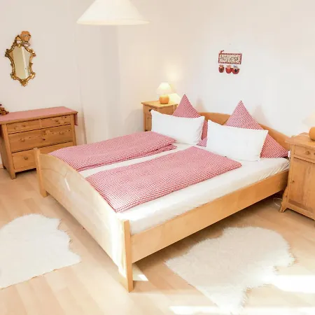 Apartment Near The Feldberg Area Dachsberg im Schwarzwald